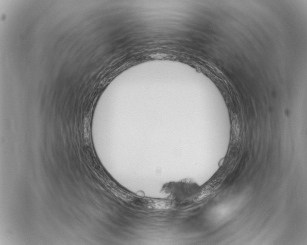 X0000059060565200510281635