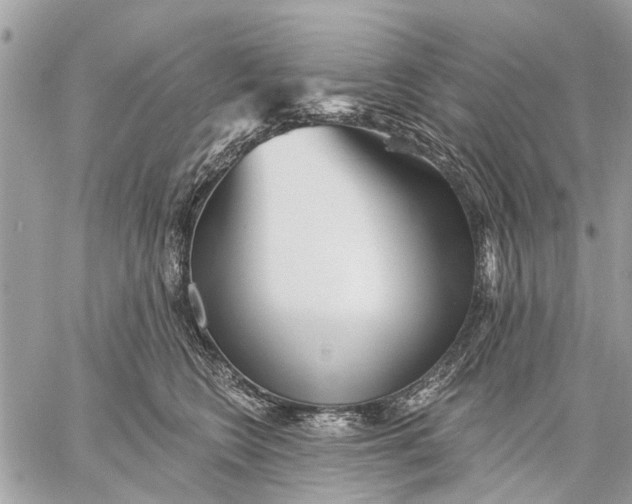 X0000059060566200510281635