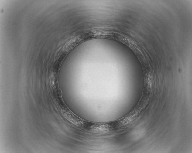 X0000059060567200510281635