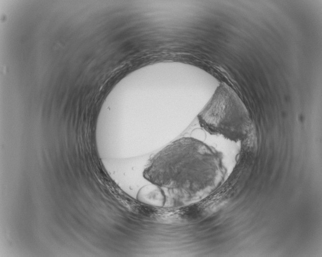 X0000059060569200510281635