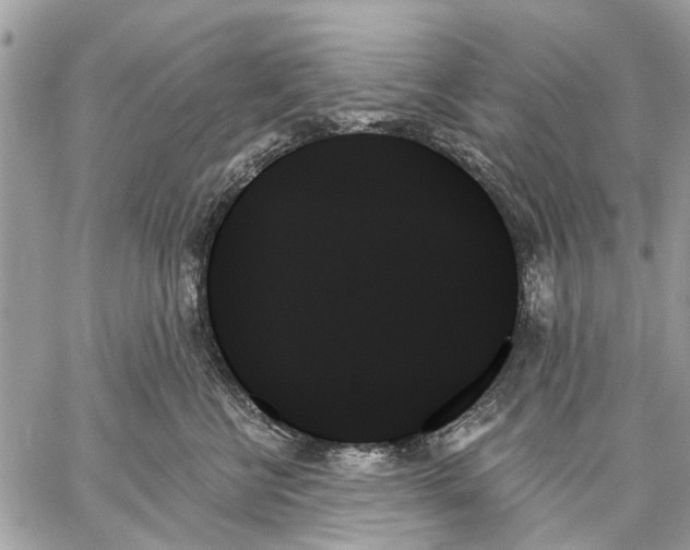 X0000059060570200510281635