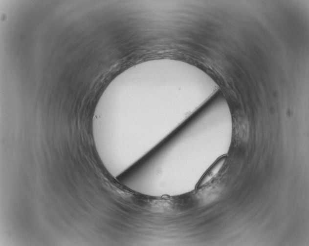 X0000059060574200510281635