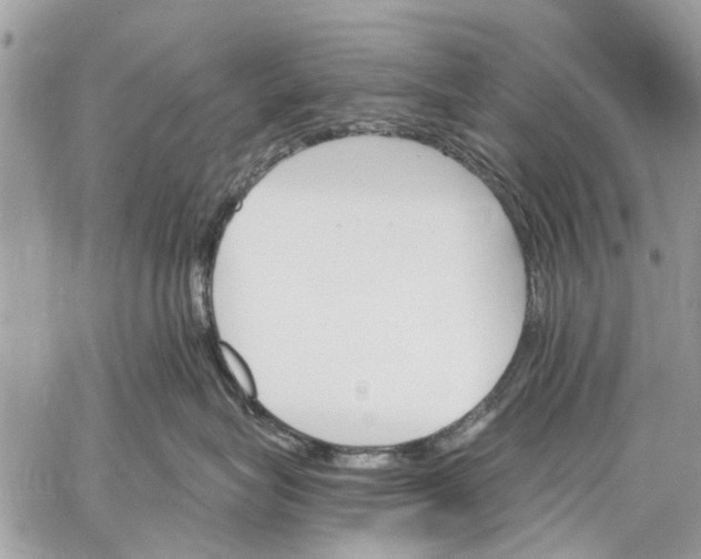 X0000059060575200510281635