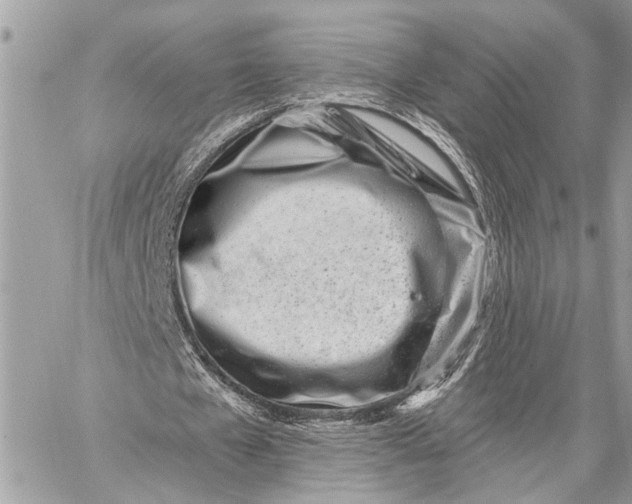 X0000059060577200510281635