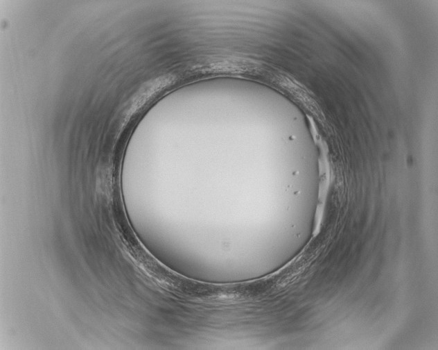 X0000059060578200510281635