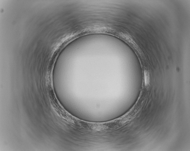 X0000059060579200510281635