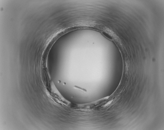 X0000059060580200510281635