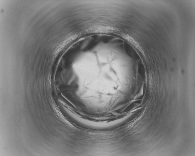 X0000059060581200510281635