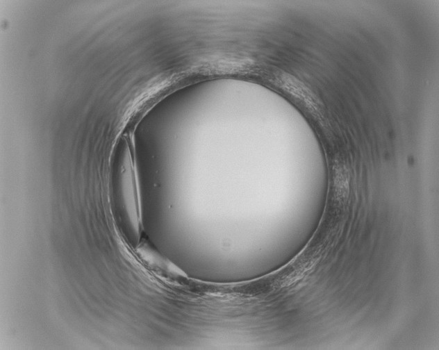 X0000059060582200510281635