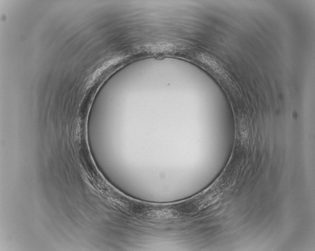 X0000059060583200510281635