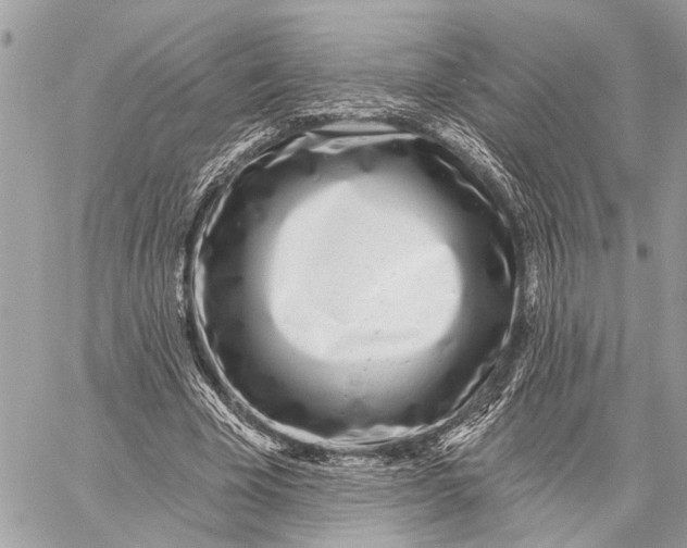 X0000059060585200510281635