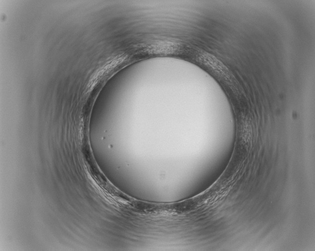 X0000059060586200510281635