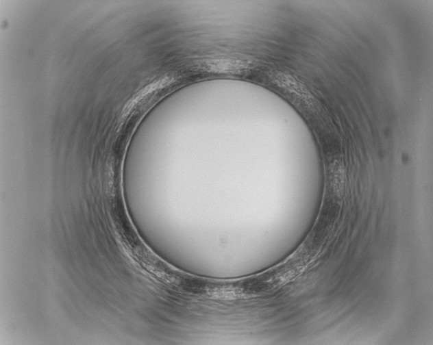 X0000059060587200510281635