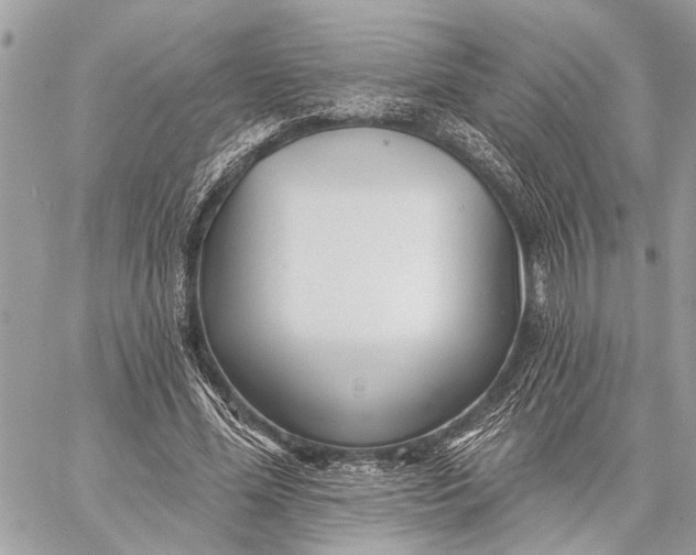 X0000059060588200510281635