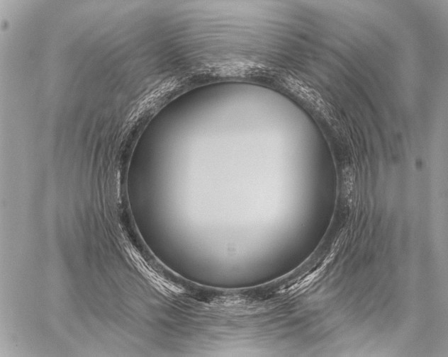 X0000059060589200510281635