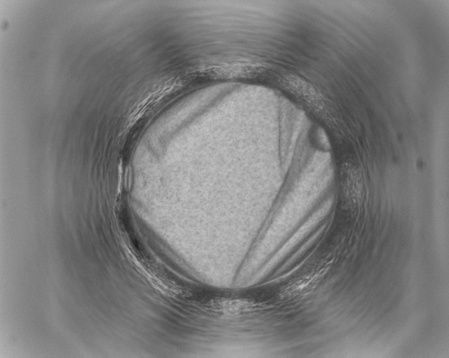 X0000059060590200510281635