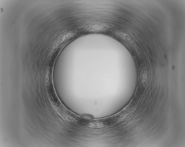 X0000059060591200510281634