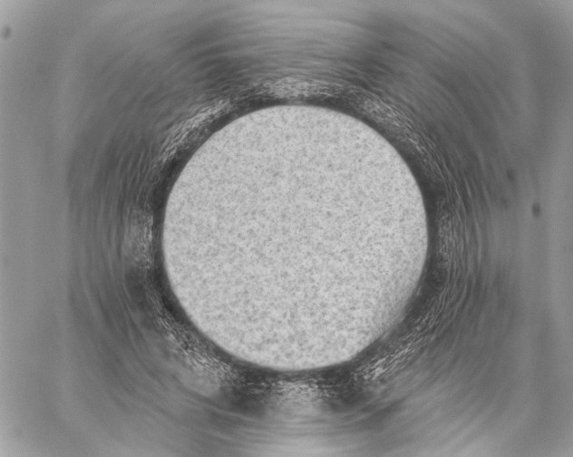 X0000059060592200510281634