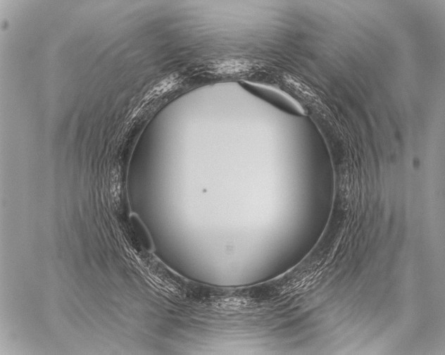 X0000059060593200510281634