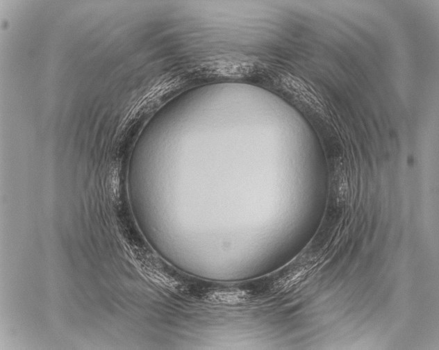 X0000059060595200510281634