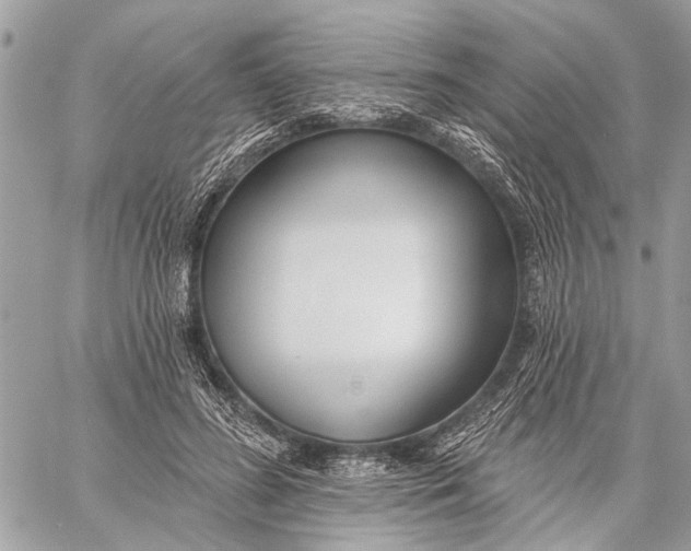 X0000059060596200510281634