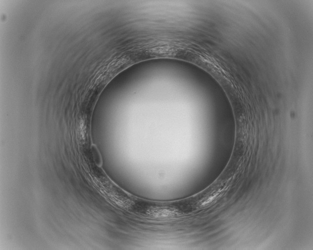 X0000059060597200510281634