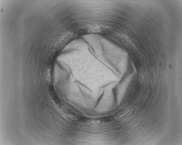 X0000059060598200510281634