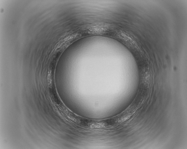 X0000059060599200510281634