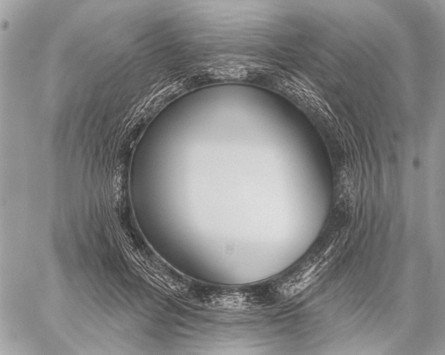 X0000059060600200510281634