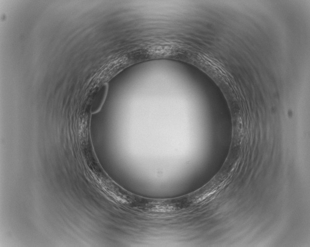 X0000059060601200510281634