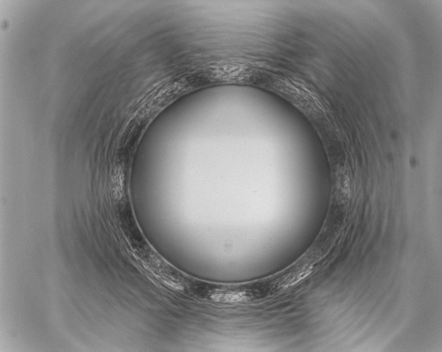 X0000059060602200510281634