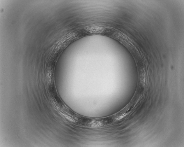 X0000059060604200510281634