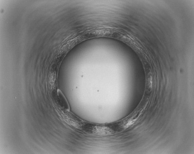 X0000059060605200510281634