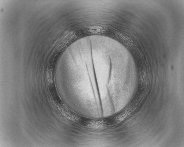 X0000059060606200510281634