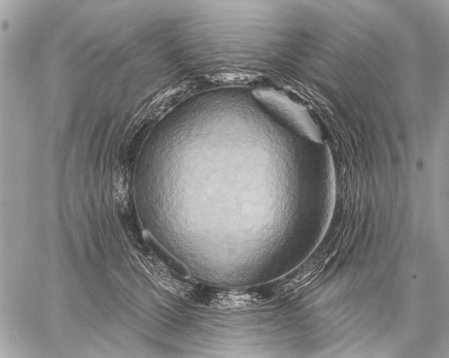 X0000059060607200510281634