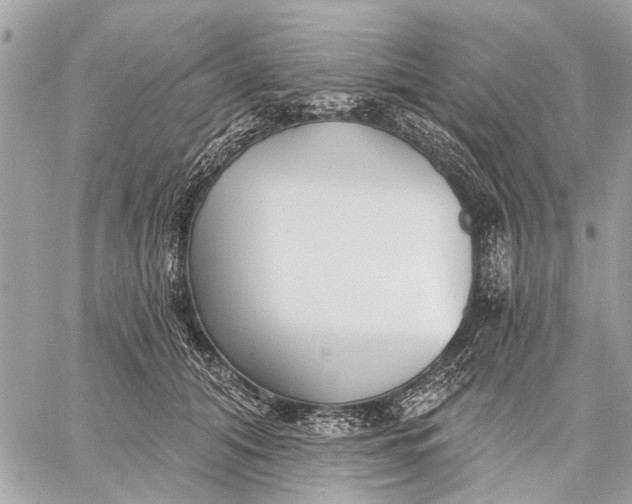 X0000059060608200510281634