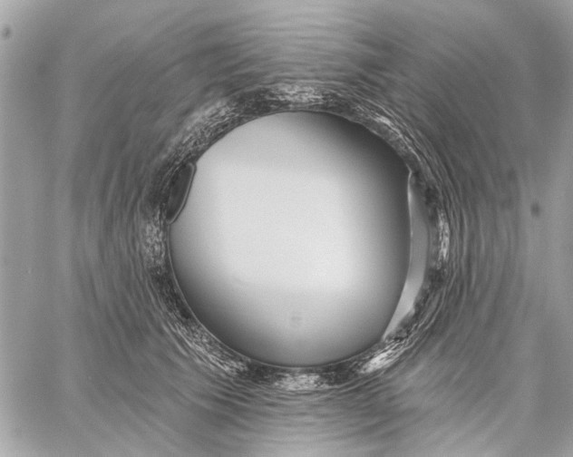 X0000059060609200510281634