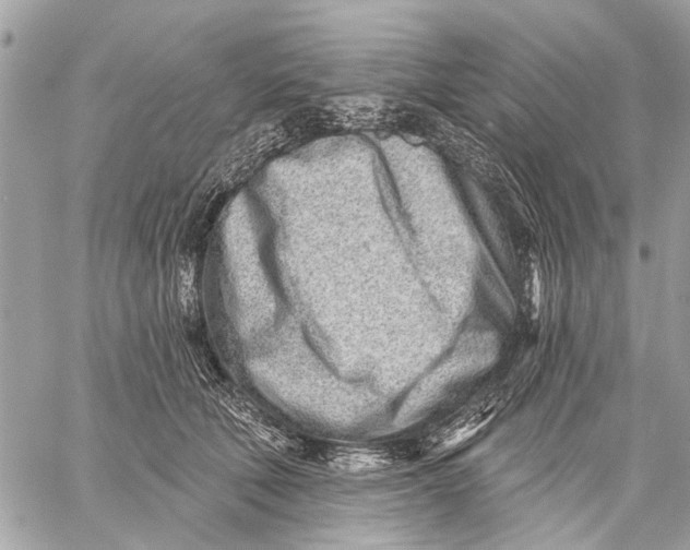 X0000059060610200510281634