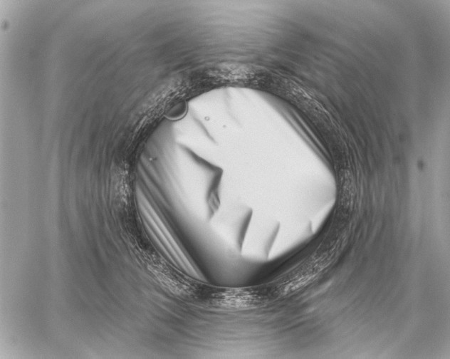 X0000059060612200510281634