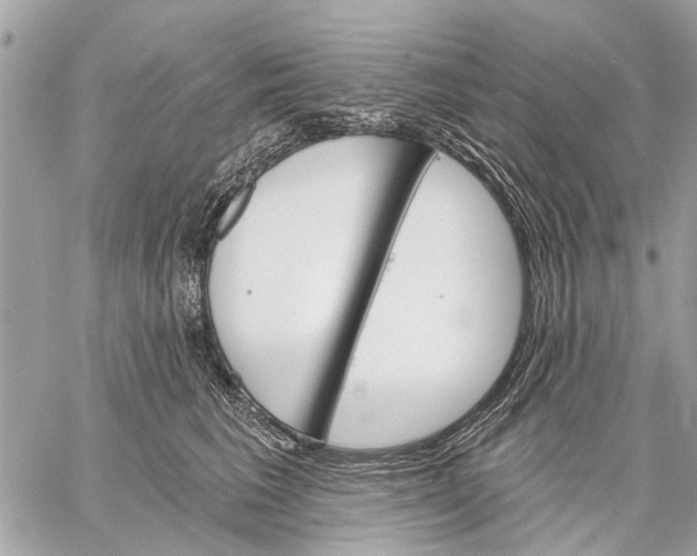 X0000059060613200510281634