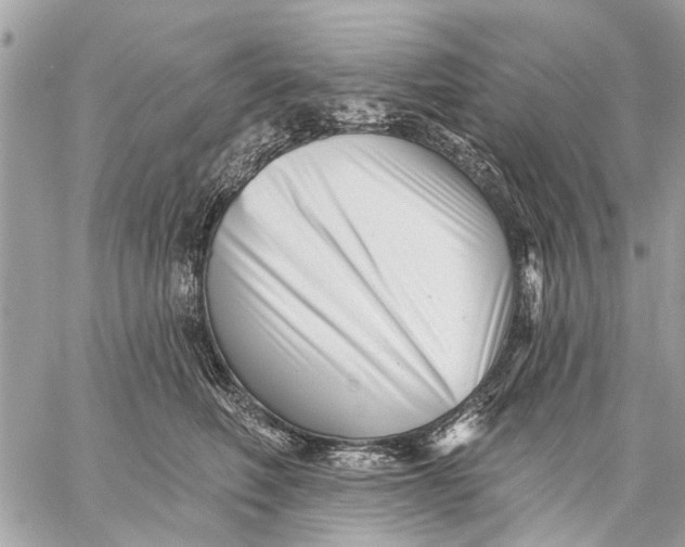 X0000059060614200510281634