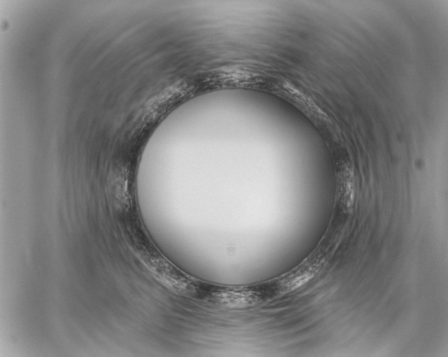 X0000059060615200510281634