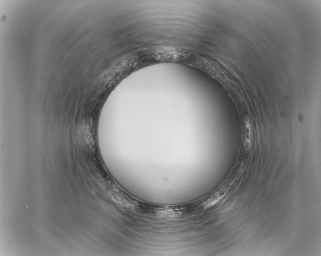 X0000059060616200510281634