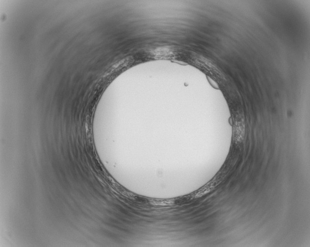 X0000059060618200510281634