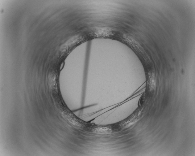 X0000059060619200510281634