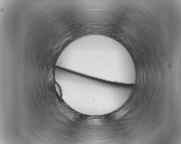 X0000059060620200510281634