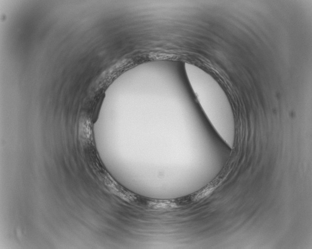 X0000059060621200510281634