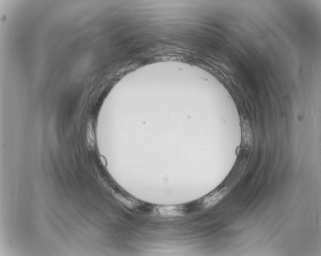 X0000059060622200510281634