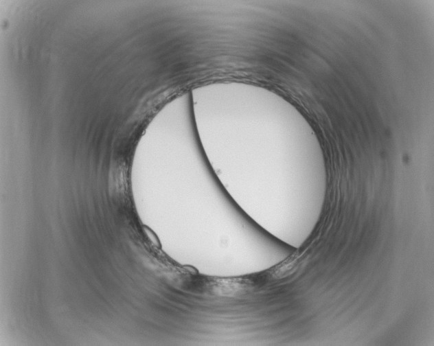 X0000059060623200510281634