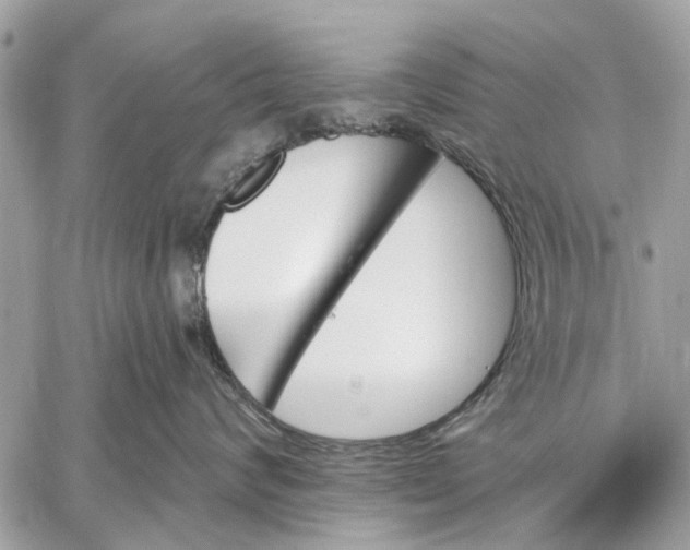 X0000059060624200510281634